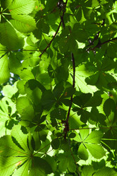 Similar image 5773631