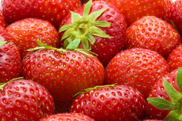 Similar image 5773632