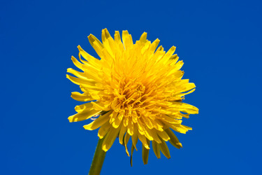 Similar image 5773634