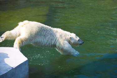 Similar image 5773663