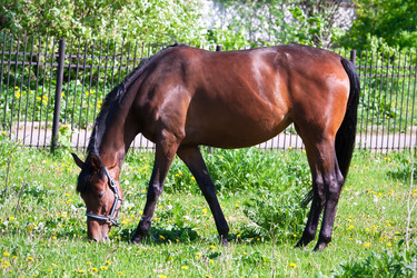 Similar image 5773664