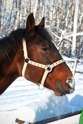 Similar image 5773751