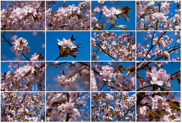 Similar image 5773819