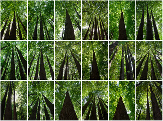 Similar image 5773859