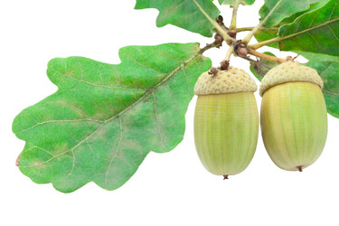 Similar image 5773869