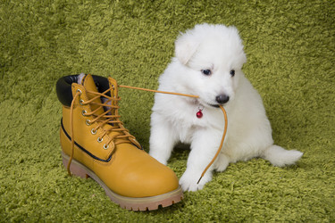 Similar image 5774370