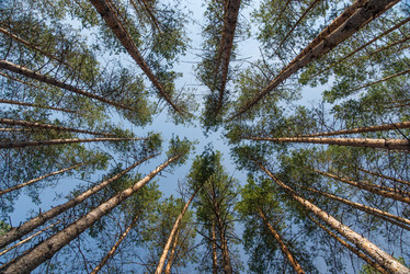 Similar image 5774372