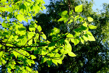 Similar image 5774391