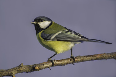 Similar image 5774397