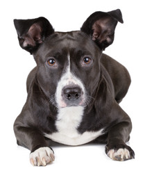 Similar image 5774407