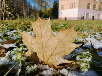 Similar image 5774415