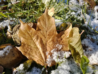 Similar image 5774416