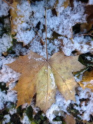 Similar image 5774417