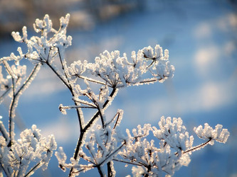 Similar image 5774433