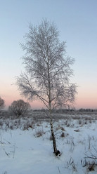 Similar image 5774434