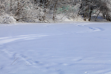 Similar image 5774453