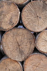 Similar image 5774457