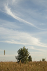 Similar image 5774462