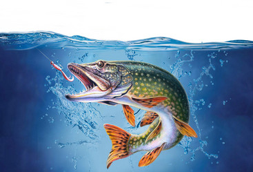 Similar image 5774517