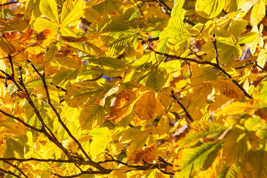 Similar image 5774686