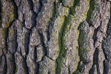 Similar image 5774698