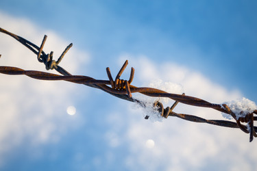 Similar image 5774704