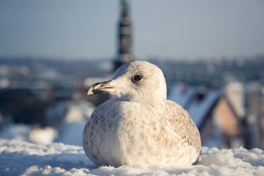 Similar image 5774713