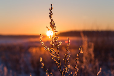 Similar image 5774732