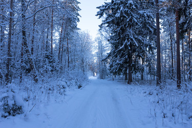 Similar image 5774733