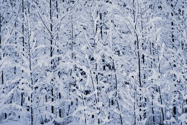 Similar image 5774739