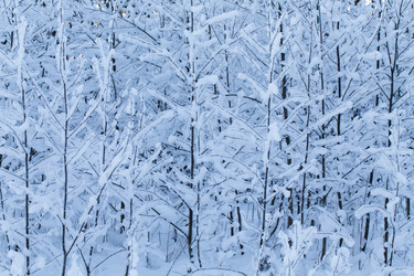 Similar image 5774740