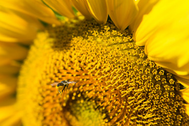 Similar image 5774751