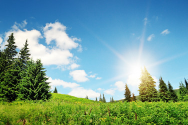 Similar image 5774784