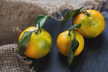 Similar image 5774791