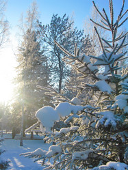 Similar image 5774806