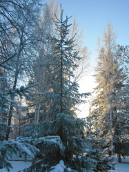 Similar image 5774807