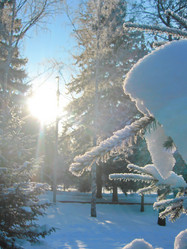 Similar image 5774888