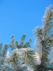 Similar image 5774890