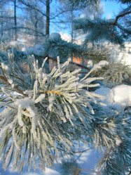 Similar image 5774891