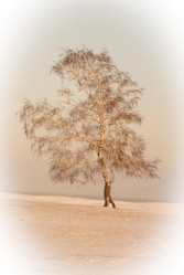 Similar image 5775073