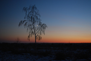 Similar image 5775074