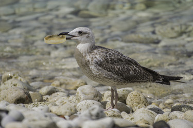 Similar image 5775262