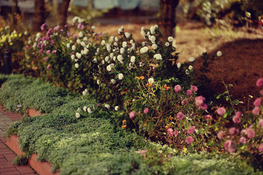 Similar image 5775315