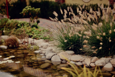 Similar image 5775316