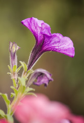 Similar image 5775317