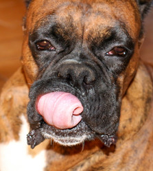 Similar image 5775382