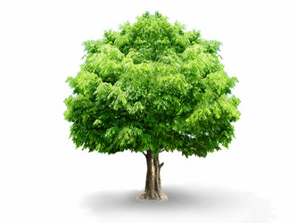 Similar image 5775403