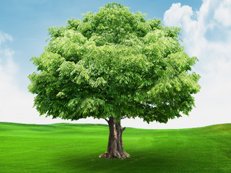 Similar image 5775420