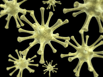 Similar image 5775445