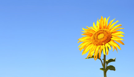 Similar image 5775459